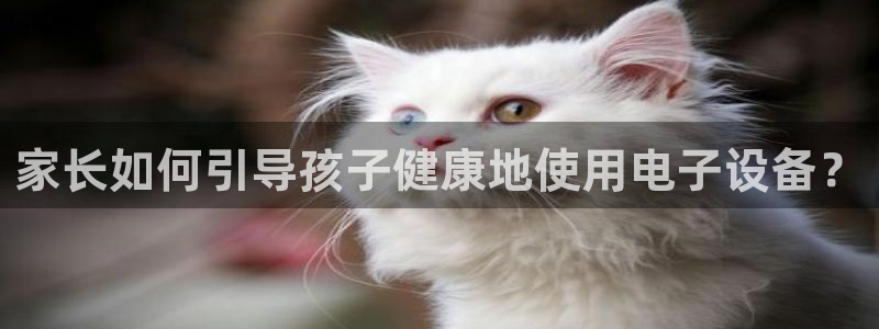 沐鸣2娱乐主管