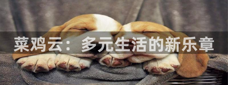 沐鸣2娱乐平台登录客服：菜鸡云：多元生活的新乐章