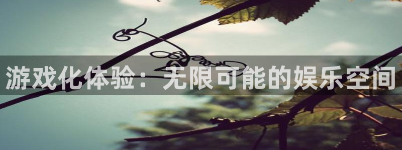 沐鸣2平台官方网站