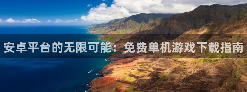 沐鸣2客户端 登录：安卓平台的无限可能：免费单机游戏下载指南