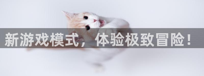 沐鸣2手机网页版：新游戏模式，体验极致冒险！