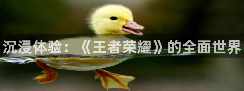 沐鸣2注册登录下载：沉浸体验：《王者荣耀》的全面世界