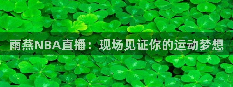 24直播网官网：雨燕NBA直播：现场见证你的运动梦想