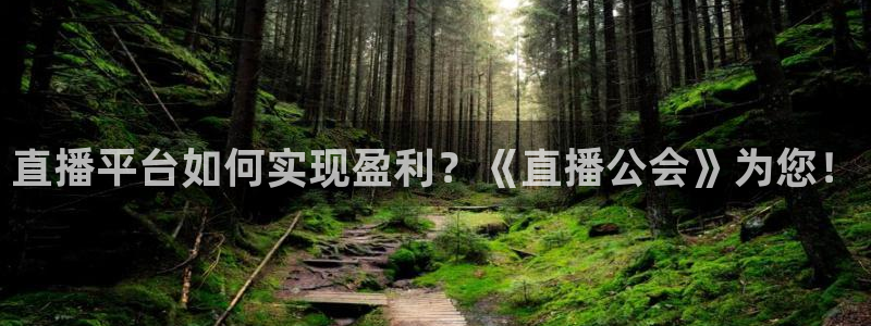 足球24直播免费观看：直播平台如何实现盈利？《直播公会》为您！