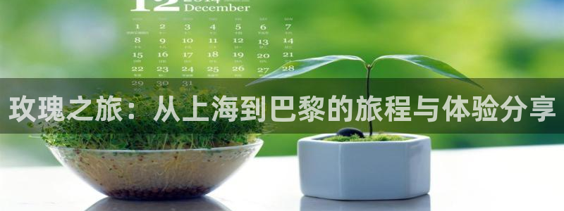 足球24直播网：玫瑰之旅：从上海到巴黎的旅程与体验分享