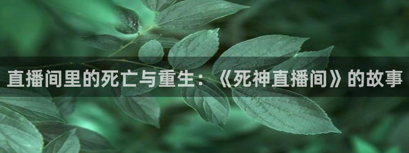 24直播吧nba直播：直播间里的死亡与重生：《死神直播间》的故事