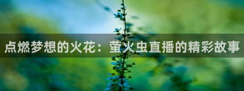 24直播免费足球：点燃梦想的火花：萤火虫直播的精彩故事