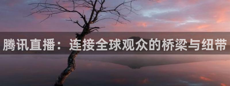 24直播体育直播nba直播