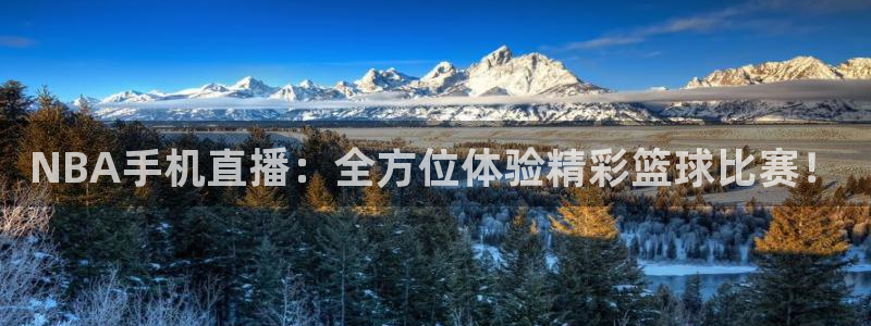 足球直播吧24直播网：NBA手机直播：全方位体验精彩篮球比赛！