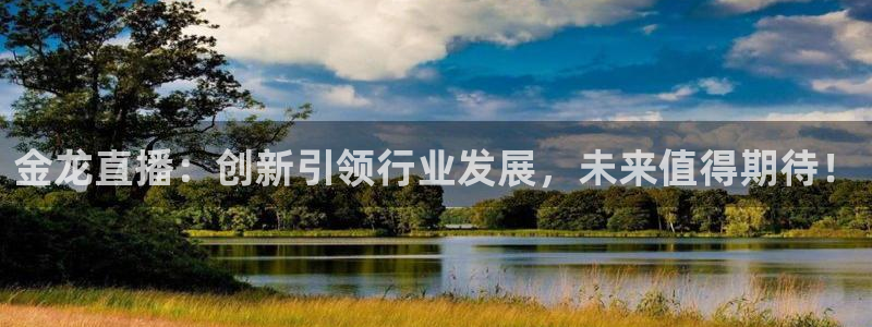 nba直播 24直播：金龙直播：创新引领行业发展，未来值得期待！
