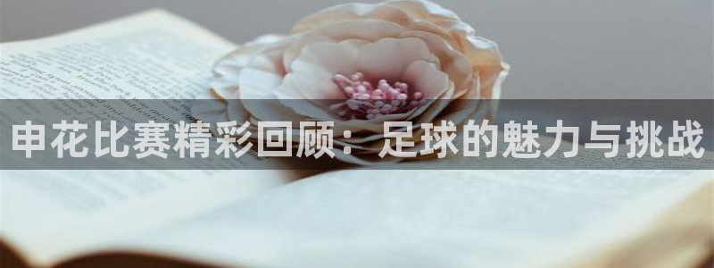 nba直播 24直播：申花比赛精彩回顾：足球的魅力与挑战