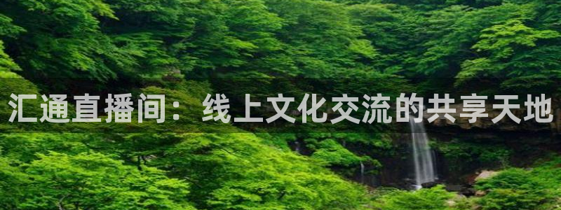 nba直播 24直播：汇通直播间：线上文化交流的共享天地