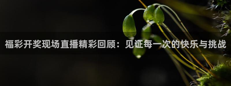 24直播网足球直播网：福彩开奖现场直播精彩回顾：见证每一次的快乐与挑战