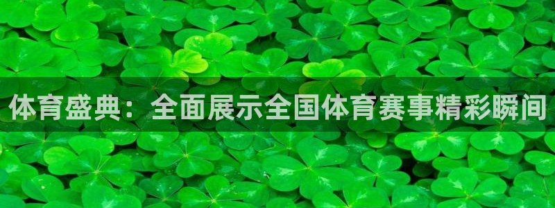 乐球直播24直播网：体育盛典：全面展示全国体育赛事精彩瞬间