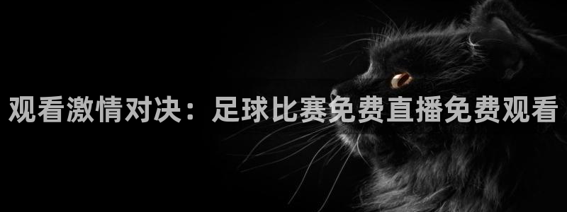 24直播网篮球免费直播：观看激情对决：足球比赛免费直播免费观看