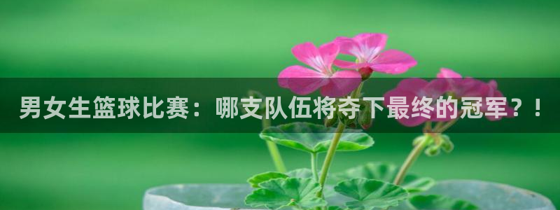 24直播 nba：男女生篮球比赛：哪支队伍将夺下最终的冠军？!