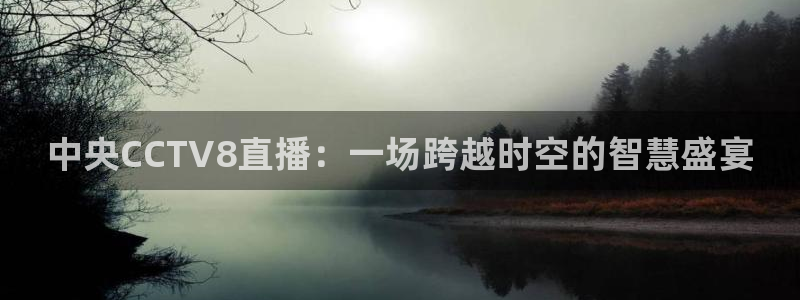 24直播篮球网：中央CCTV8直播：一场跨越时空的智慧盛宴
